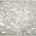 Shell Tiles Shell Tiles