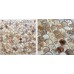 mother of pearl mosaic tiles natural shell tile backsplash unique design fish scale bathroom showers kitchen backsplash wall tiles decor ST112