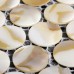 Natural seashell mosaic penny round  mother of pearl tile backsplash kitchen designs iridescence shell tile bathroom ST065